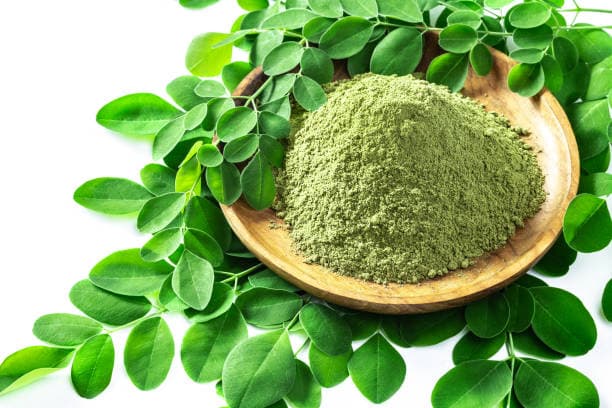 Moringa Powder