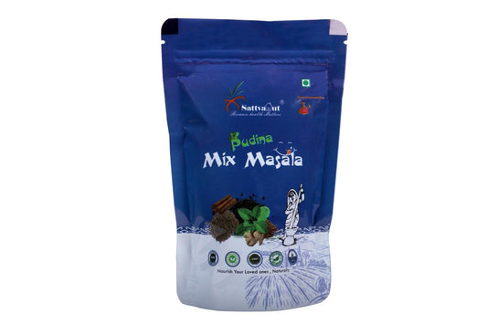 PUDINA MIX MASALA