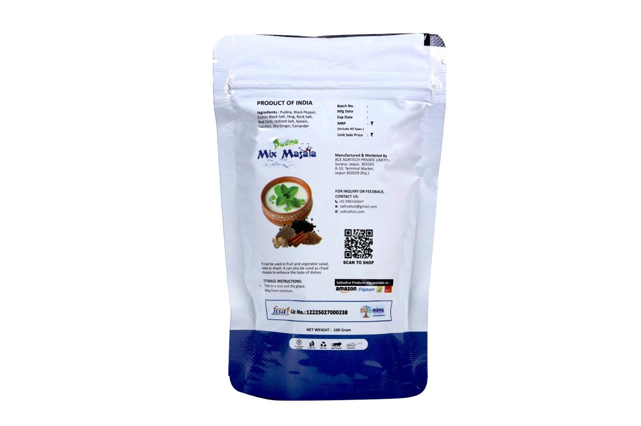PUDINA MIX MASALA