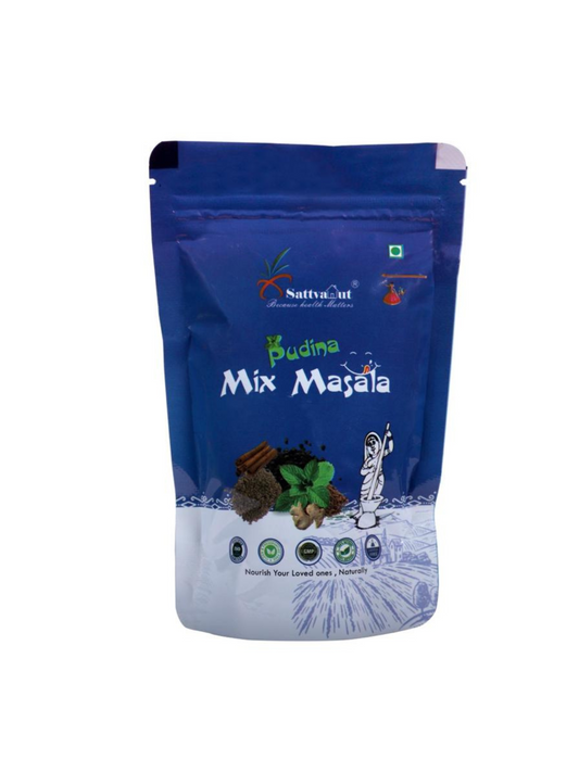 PUDINA MIX MASALA